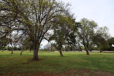 Enlarge photo 42