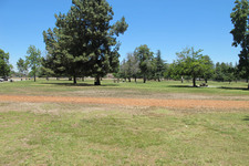 Enlarge photo 49
