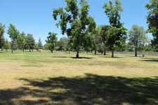Enlarge photo 50