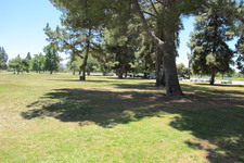 Enlarge photo 51