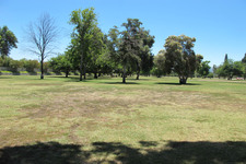 Enlarge photo 52