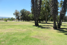 Enlarge photo 53