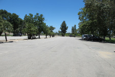 Enlarge photo 55