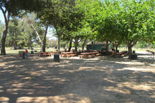 Enlarge photo 58