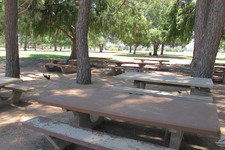 Enlarge photo 72