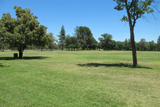 Enlarge photo 61
