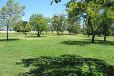 Enlarge photo 63