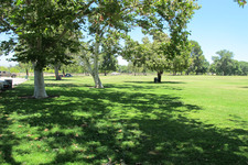 Enlarge photo 64