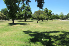 Enlarge photo 65