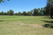 Enlarge photo 66