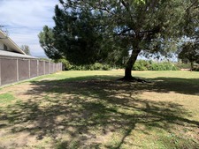 Enlarge photo 34