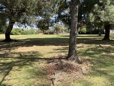 Enlarge photo 35