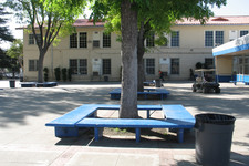 Enlarge photo 47