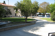 Enlarge photo 48