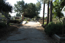 Enlarge photo 52