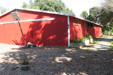 Enlarge photo 54