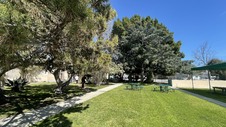 Enlarge photo 24