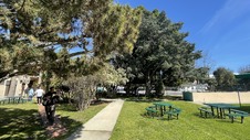 Enlarge photo 25