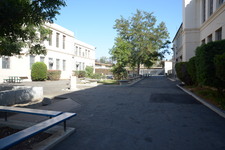 Enlarge photo 67