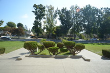 Enlarge photo 33