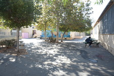 Enlarge photo 83