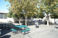 Enlarge photo 85