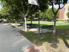 Enlarge photo 14