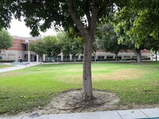 Enlarge photo 22