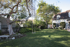 Enlarge photo 61