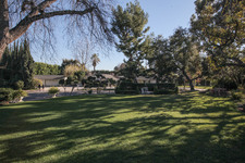 Enlarge photo 65