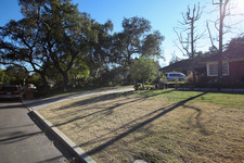 Enlarge photo 72
