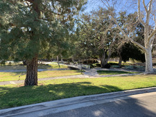 Enlarge photo 58