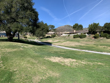 Enlarge photo 74