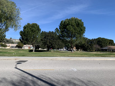 Enlarge photo 107