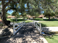 Enlarge photo 63