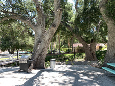 Enlarge photo 56