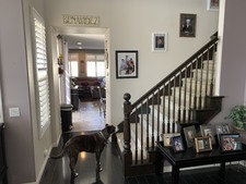 Enlarge photo 48