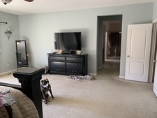 Enlarge photo 59