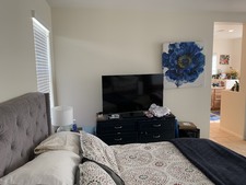 Enlarge photo 51