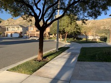 Enlarge photo 45
