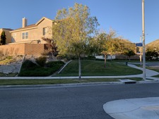 Leigh Court Cul-de-Sac (at Brandon)
