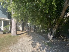 Enlarge photo 43