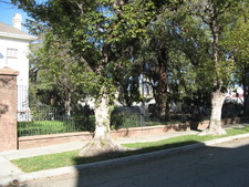 Enlarge photo 3