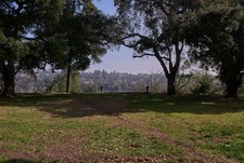 Enlarge photo 33