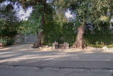 Enlarge photo 49