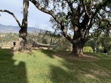 Enlarge photo 54