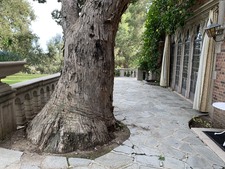 Enlarge photo 63
