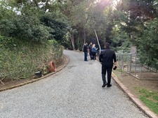 Enlarge photo 82