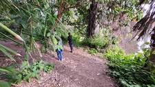 Enlarge photo 8