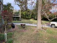Enlarge photo 105